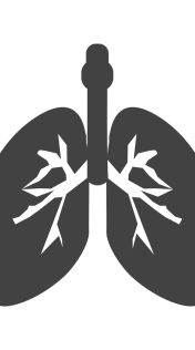 33_-_3_-_Lungs